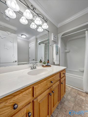 329 Antler Point Drive, New Market, AL 35761