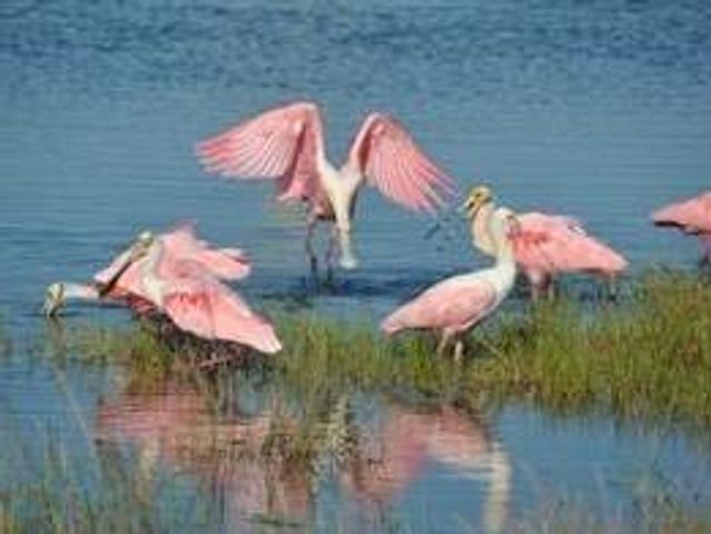 18 Half Moon, Hitchcock, TX 77563