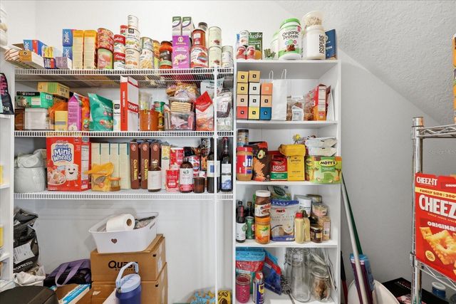 33479 ELM HILL BRANCH, Wesley Chapel, FL 33545