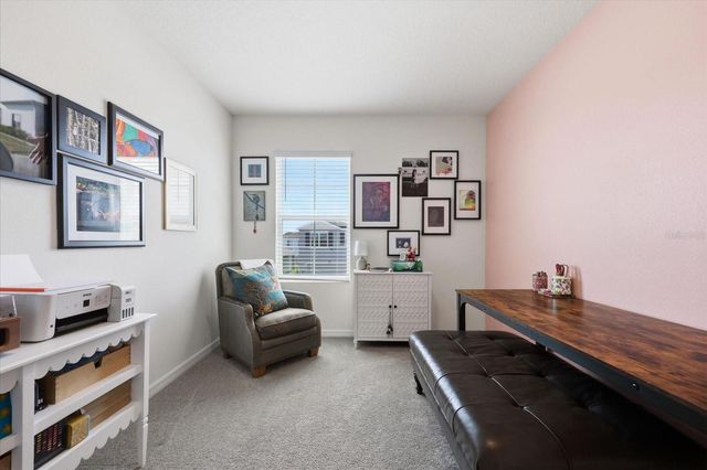 33479 ELM HILL BRANCH, Wesley Chapel, FL 33545