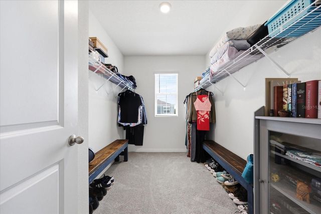 33479 ELM HILL BRANCH, Wesley Chapel, FL 33545