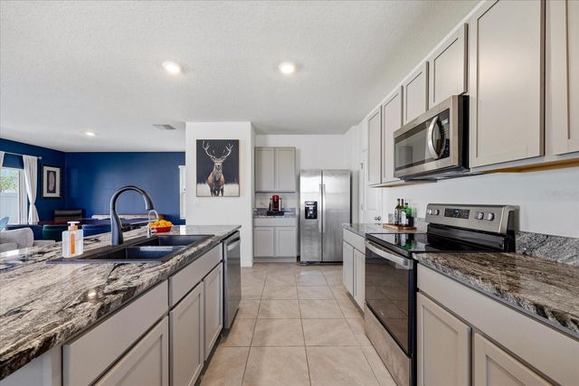 33479 ELM HILL BRANCH, Wesley Chapel, FL 33545