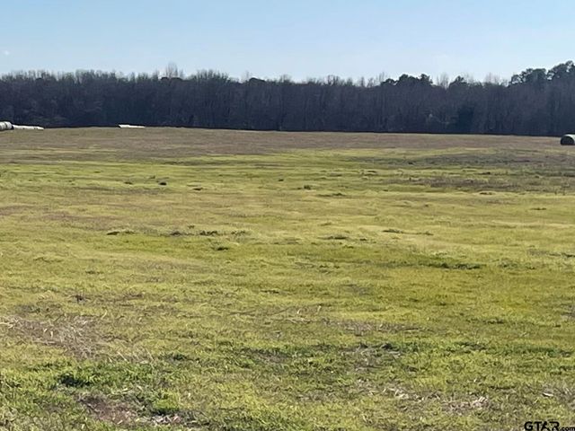 80ac Lot2 County Road 2376, Winnsboro, TX 75494