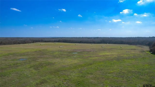 80ac Lot2 County Road 2376, Winnsboro, TX 75494