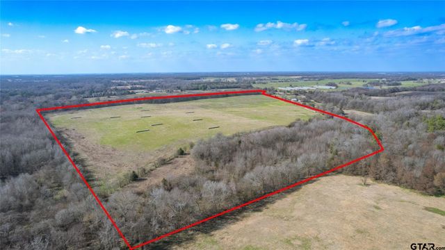 80ac Lot2 County Road 2376, Winnsboro, TX 75494
