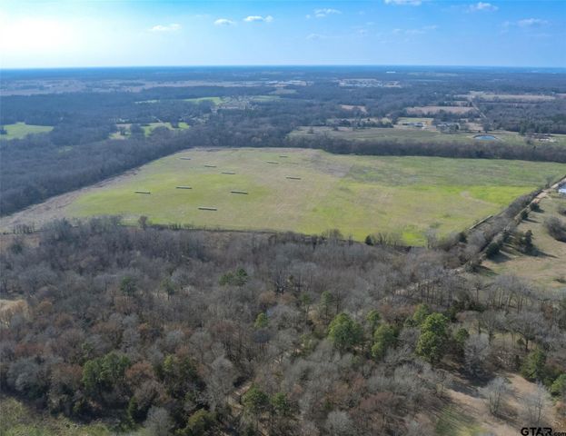 80ac Lot2 County Road 2376, Winnsboro, TX 75494