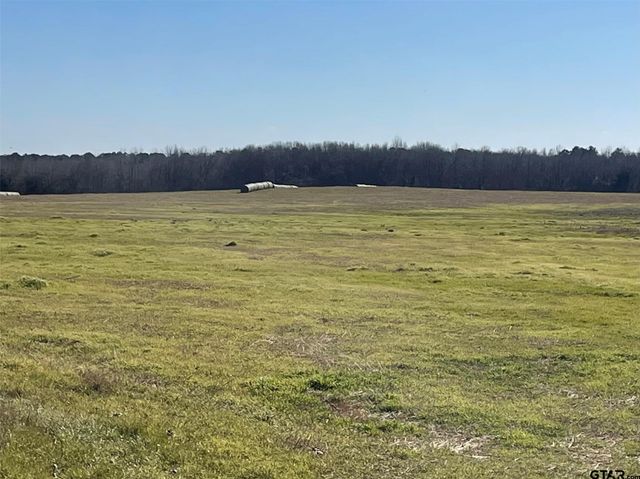 80ac Lot2 County Road 2376, Winnsboro, TX 75494