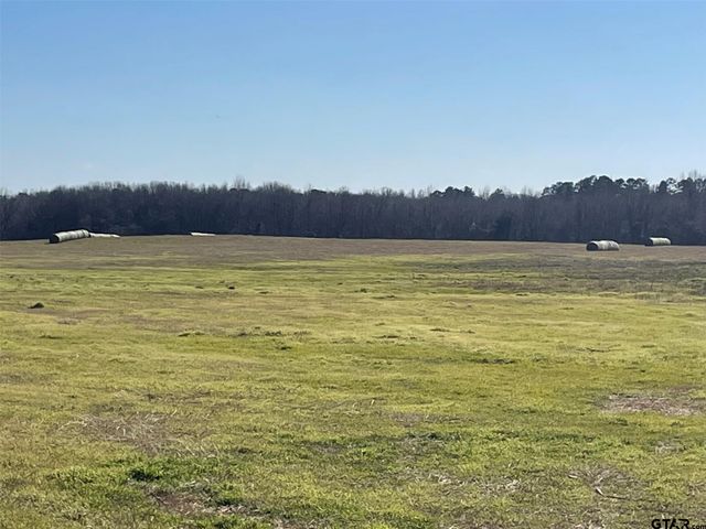 80ac Lot2 County Road 2376, Winnsboro, TX 75494