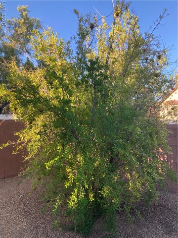 3432 Butterfly Bush Street, Las Vegas, NV 89117