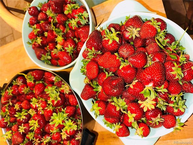 1891 S Quebec Way, Denver, CO 80231