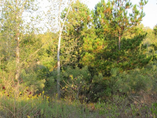 001 Kipahulu LN, Bastrop, TX 78602