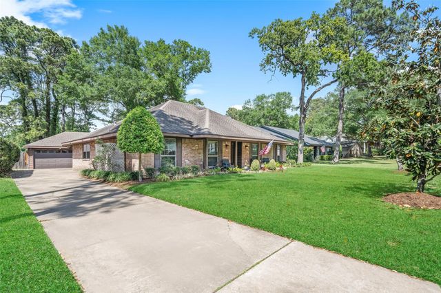 10710 Idlebrook Drive, Houston, TX 77070