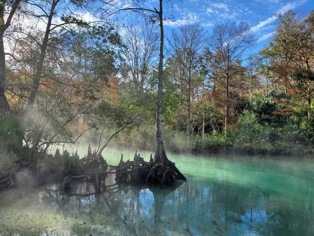 Lot 2 FLEXER DRIVE, Hernando Beach, FL 34607