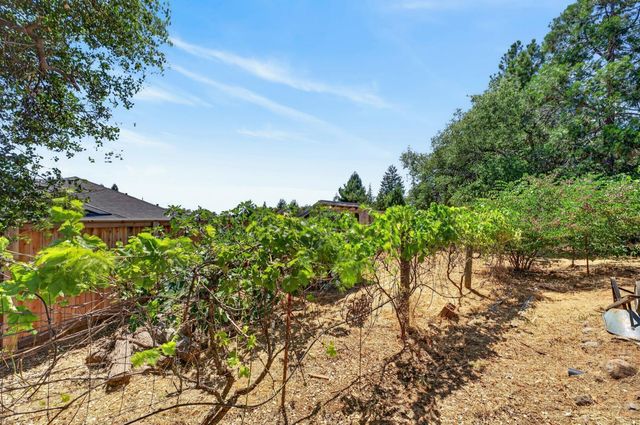 3572 Buena Vista Dr, Shingle Springs, CA 95682