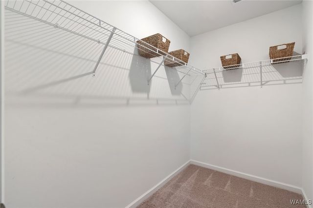 11217 Snapdragon Cove, Tuscaloosa, AL 35405