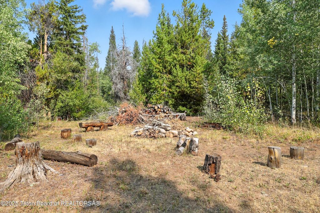 3 FOREST Trail, Boulder, WY 82923 photo 46