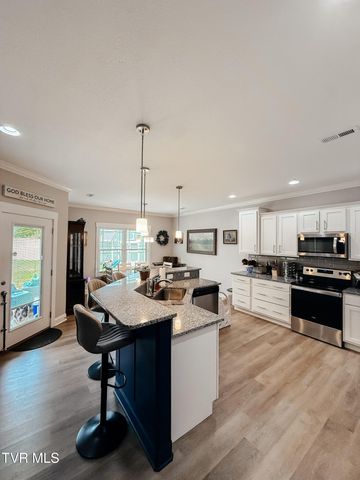 933 Riddle Ridge, Jonesborough, TN 37659