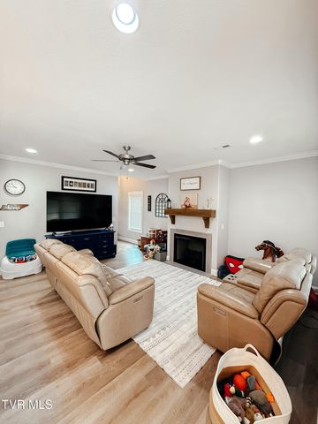 933 Riddle Ridge, Jonesborough, TN 37659