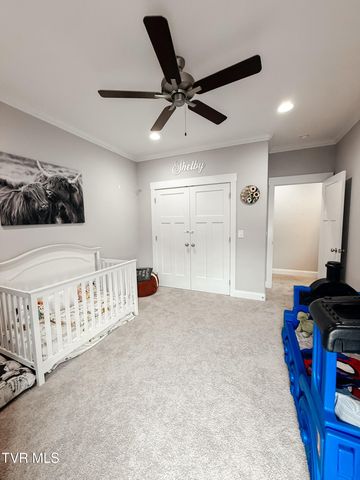 933 Riddle Ridge, Jonesborough, TN 37659