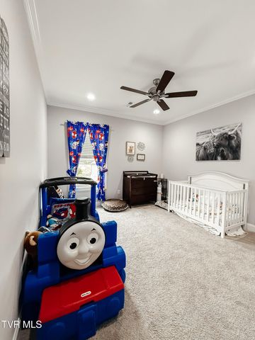 933 Riddle Ridge, Jonesborough, TN 37659