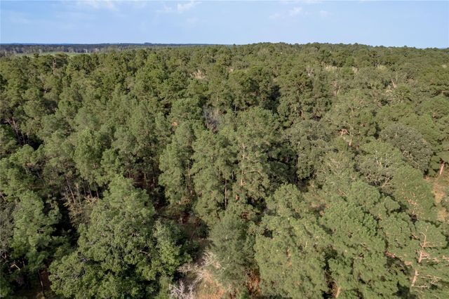 Na Fm 230, Trinity, TX 75862