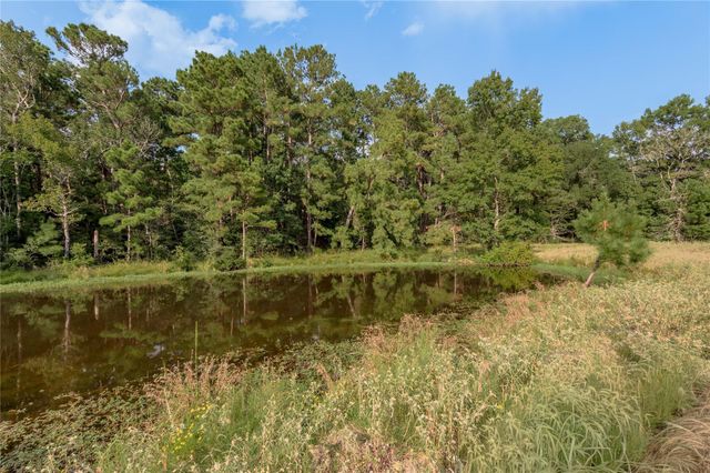 Na Fm 230, Trinity, TX 75862