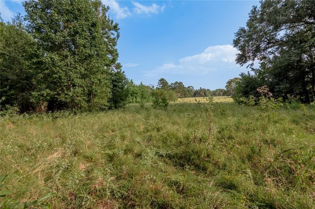 Na Fm 230, Trinity, TX 75862