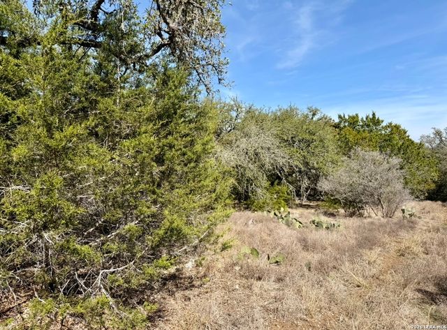 310 Spring, Spring Branch, TX 78070