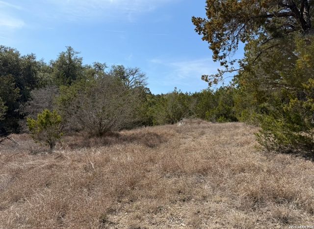 310 Spring, Spring Branch, TX 78070