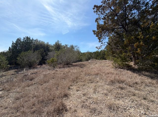 310 Spring, Spring Branch, TX 78070