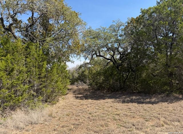 310 Spring, Spring Branch, TX 78070