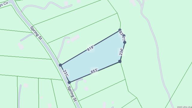 310 Spring, Spring Branch, TX 78070