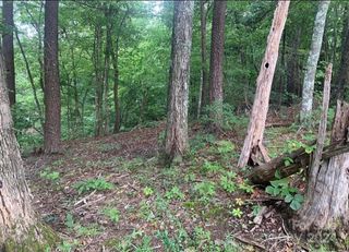 0 Bee Tree Pointe 25, Lake Lure, NC 28746
