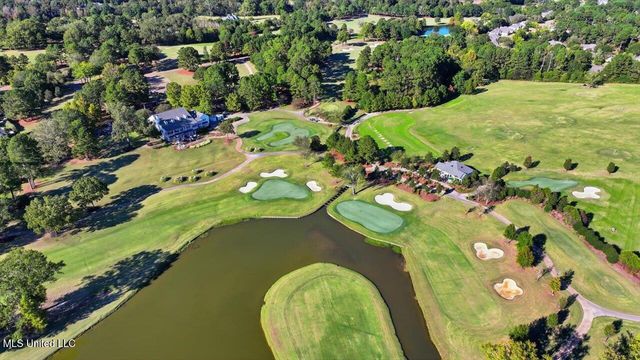 101 Bristol Court, Madison, MS 39110