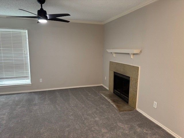 4024 Southern Charm Court, Arlington, TX 76016