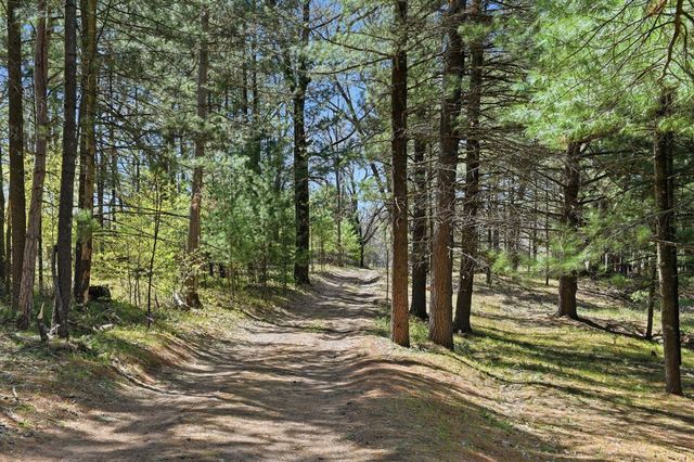 7492 E Townline Lake Road, Harrison, MI 48625