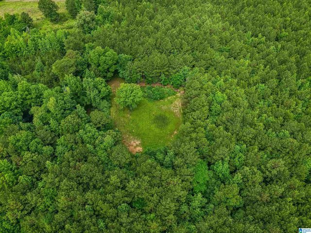 81 SILVER LOOP, Columbiana, AL 35051