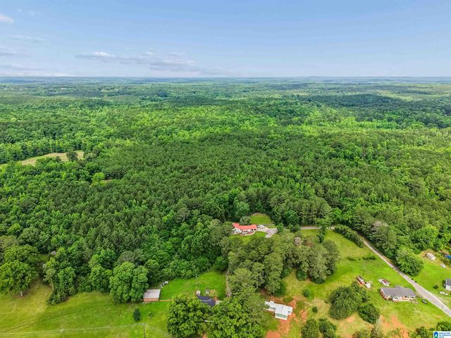 81 SILVER LOOP, Columbiana, AL 35051