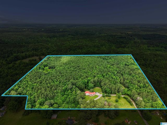 81 SILVER LOOP, Columbiana, AL 35051