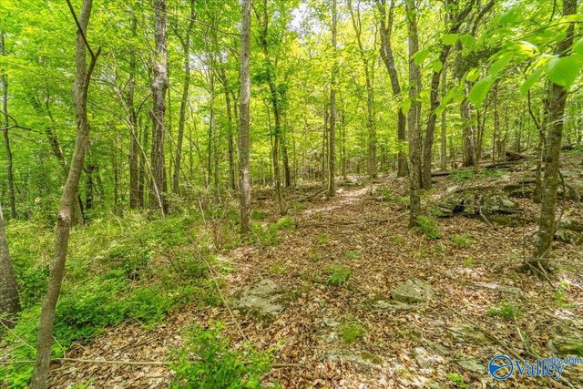 2002 James Everett Drive, Huntsville, AL 35811