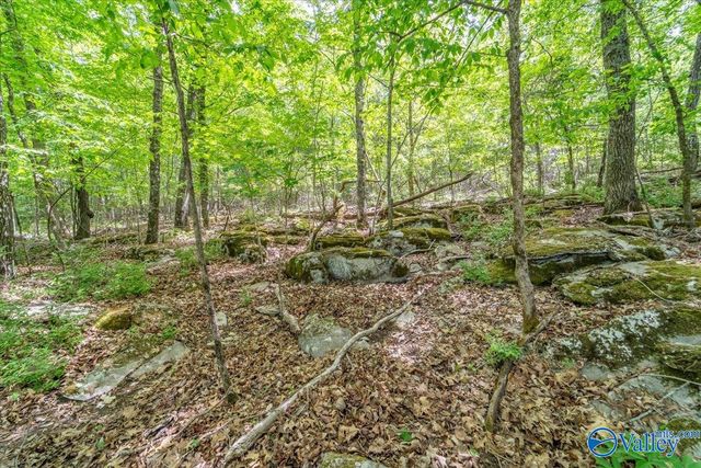 2002 James Everett Drive, Huntsville, AL 35811