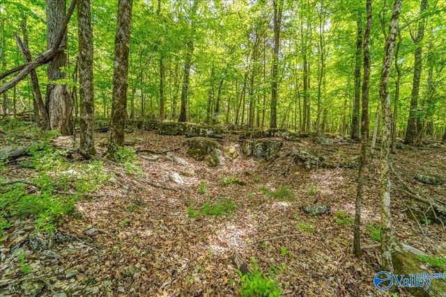 2002 James Everett Drive, Huntsville, AL 35811