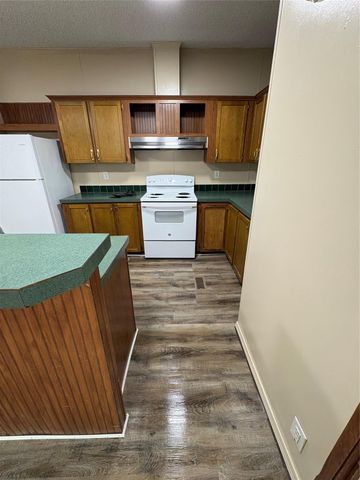 9541 Maple Ridge Drive, Willis, TX 77318