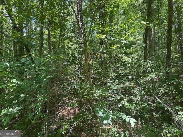 57 Dogwood Trail, Martin, GA 30557