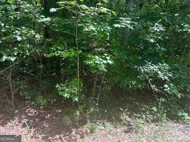 57 Dogwood Trail, Martin, GA 30557