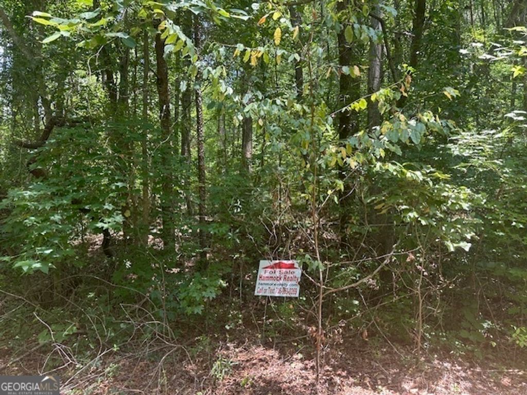57 Dogwood Trail, Martin, GA 30557