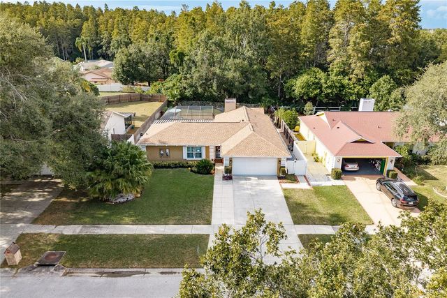 12406 FOREST LANE DRIVE, Tampa, FL 33624