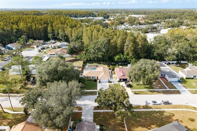 12406 FOREST LANE DRIVE, Tampa, FL 33624