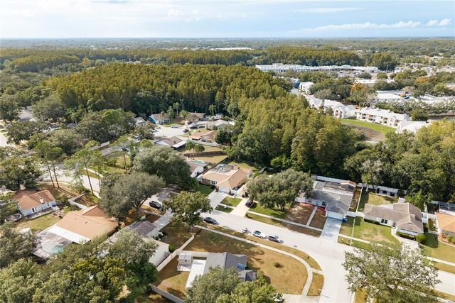 12406 FOREST LANE DRIVE, Tampa, FL 33624