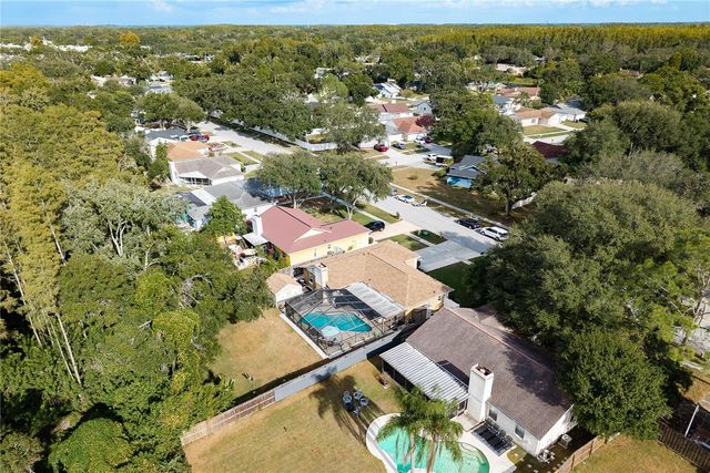 12406 FOREST LANE DRIVE, Tampa, FL 33624